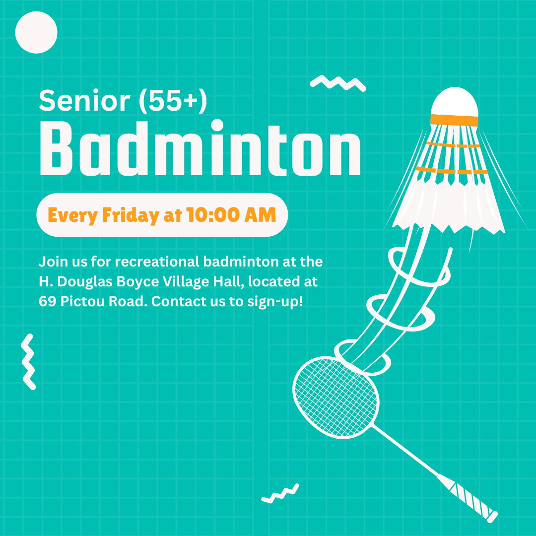 Senior Badminton 2