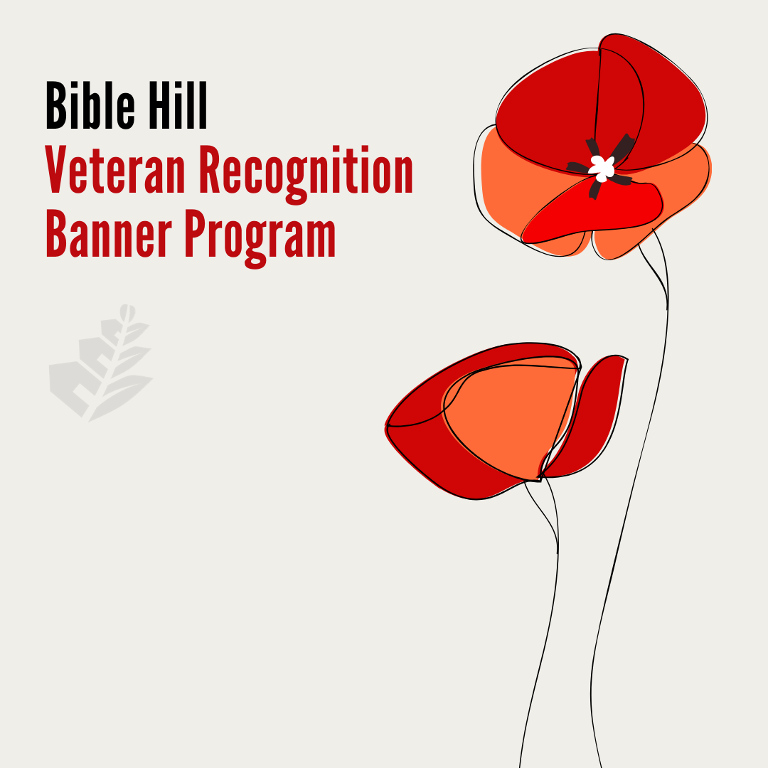remembrance day banner program